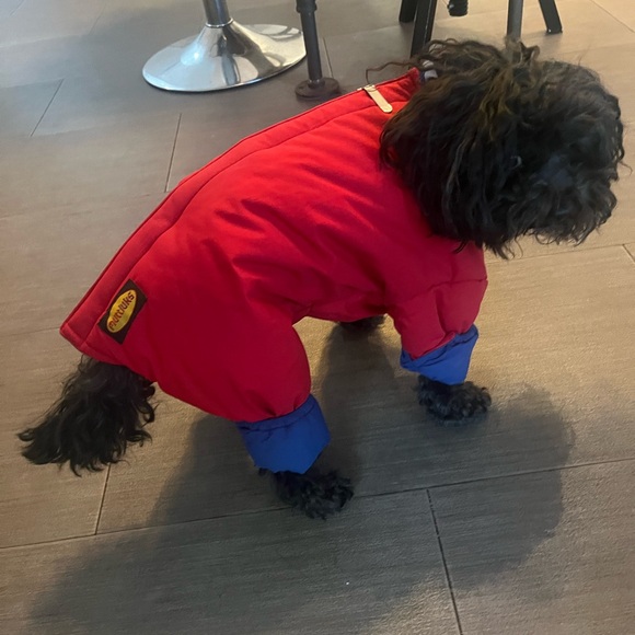 Small dog snowsuit - Picture 5 of 6